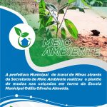 MEIO AMBIENTE